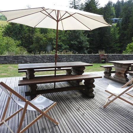 Le Lioran Studio Les Myrtilles A 200M Des Pistes エクステリア 写真