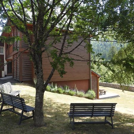 Le Lioran Studio Les Myrtilles A 200M Des Pistes エクステリア 写真
