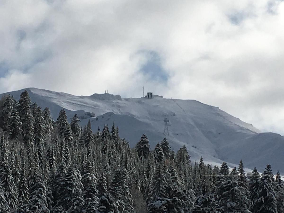 Le Lioran Studio Les Myrtilles A 200M Des Pistes エクステリア 写真