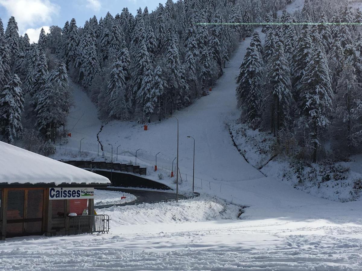 Le Lioran Studio Les Myrtilles A 200M Des Pistes エクステリア 写真