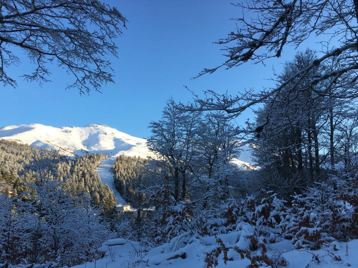 Le Lioran Studio Les Myrtilles A 200M Des Pistes エクステリア 写真