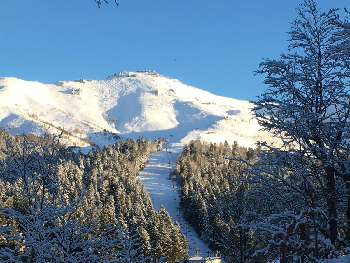 Le Lioran Studio Les Myrtilles A 200M Des Pistes エクステリア 写真