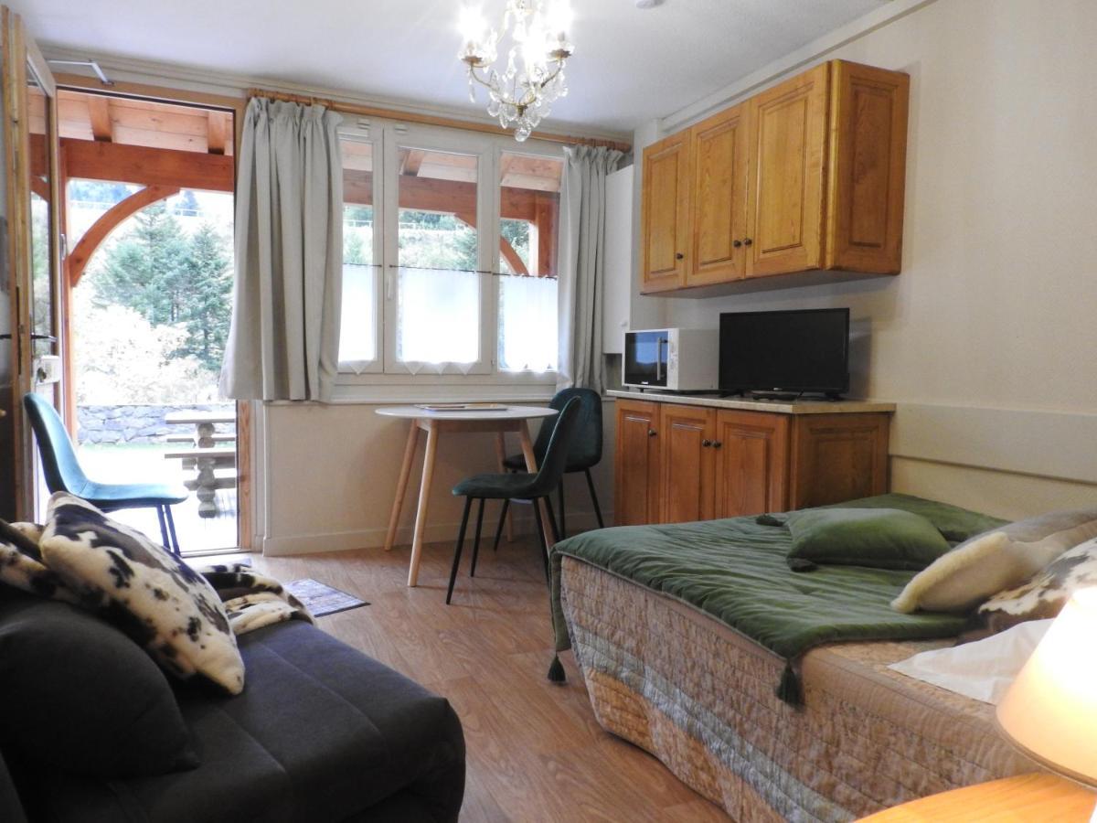 Le Lioran Studio Les Myrtilles A 200M Des Pistes エクステリア 写真