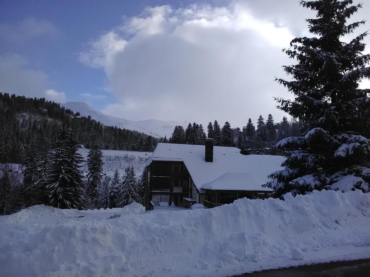 Le Lioran Studio Les Myrtilles A 200M Des Pistes エクステリア 写真