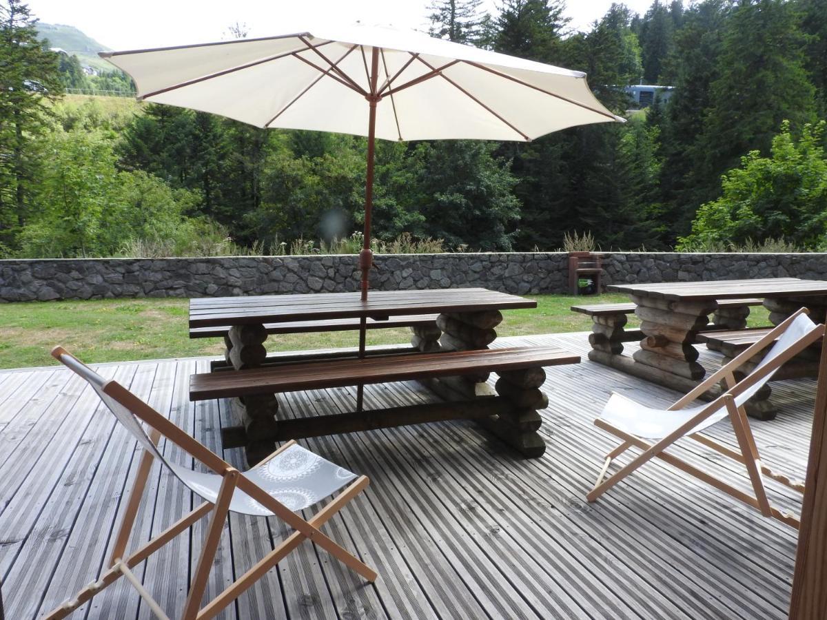 Le Lioran Studio Les Myrtilles A 200M Des Pistes エクステリア 写真