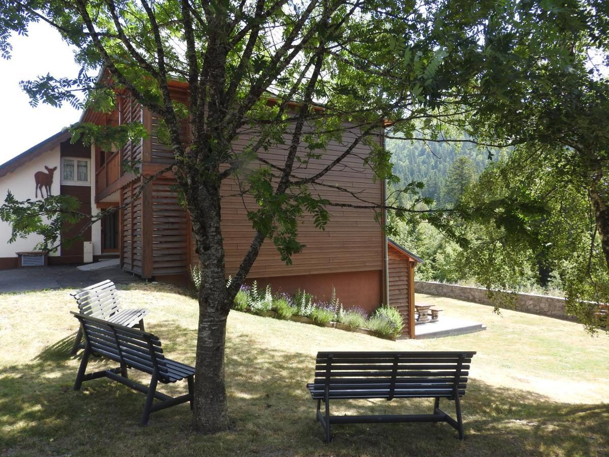 Le Lioran Studio Les Myrtilles A 200M Des Pistes エクステリア 写真