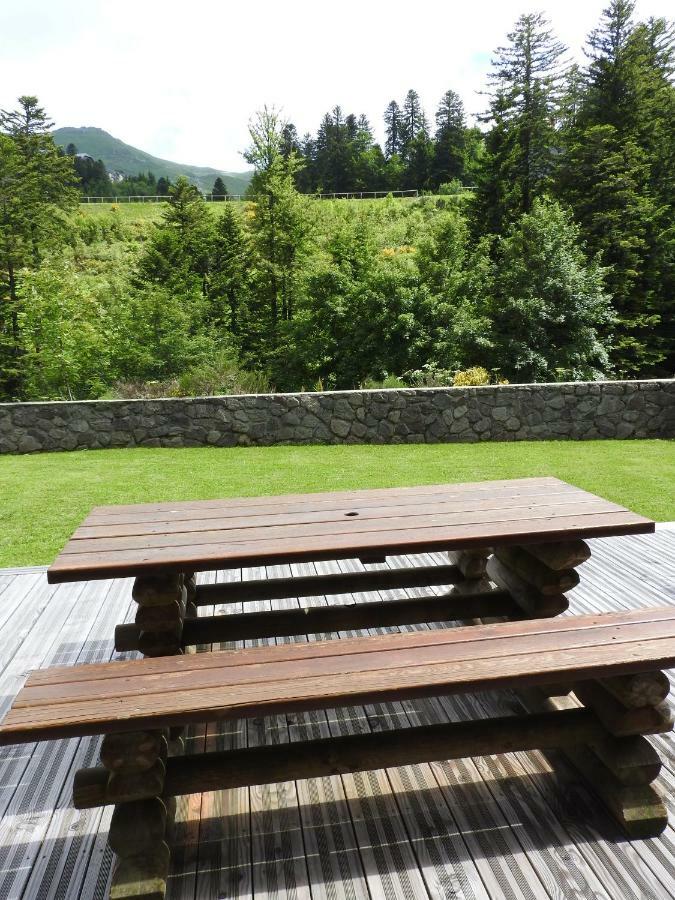 Le Lioran Studio Les Myrtilles A 200M Des Pistes エクステリア 写真
